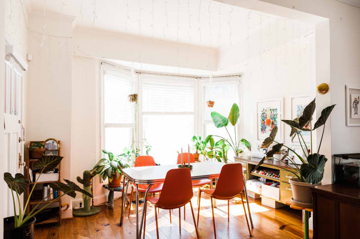 House chair price deals